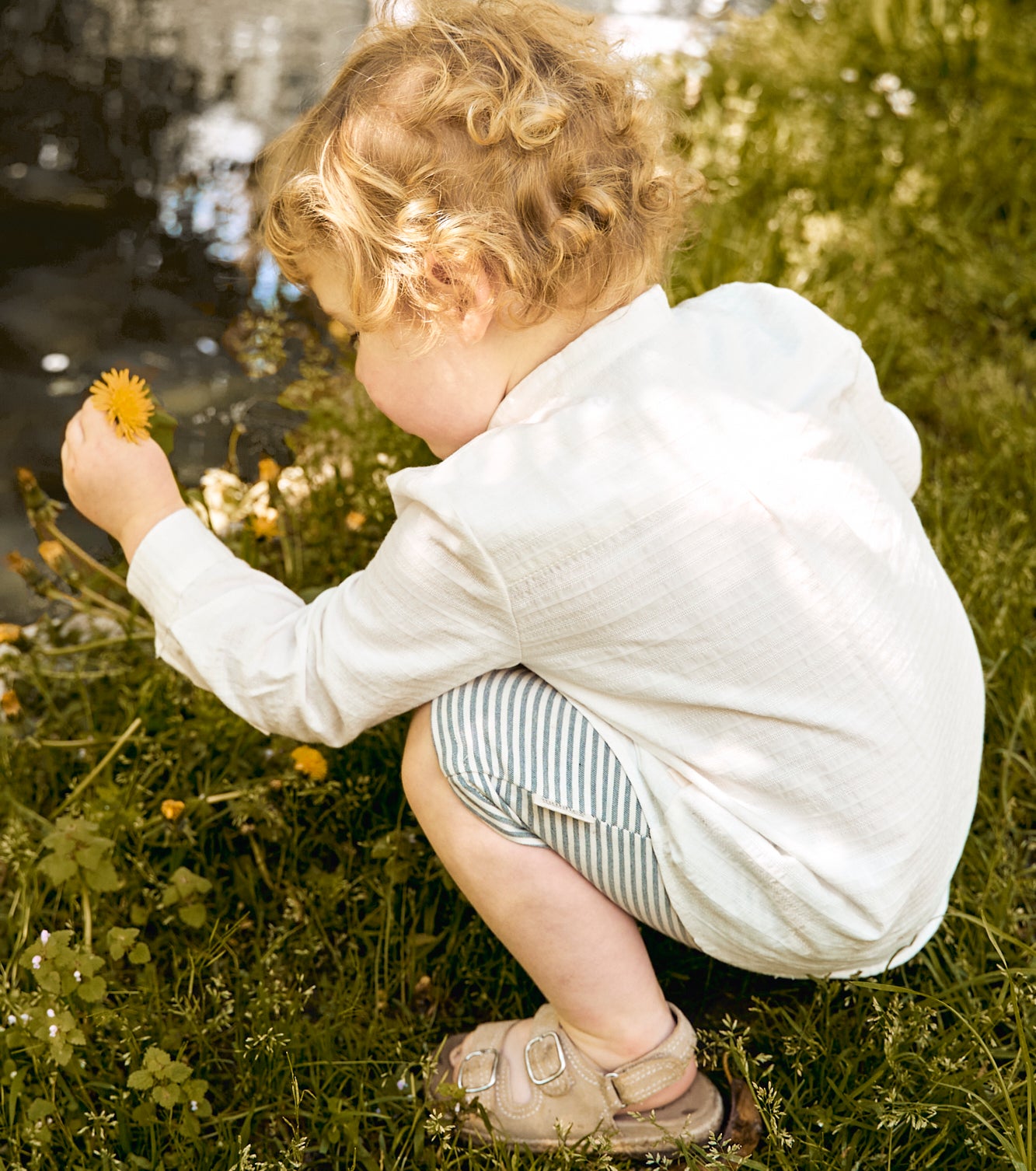 Bermuda Balmaseda Rayas Denim