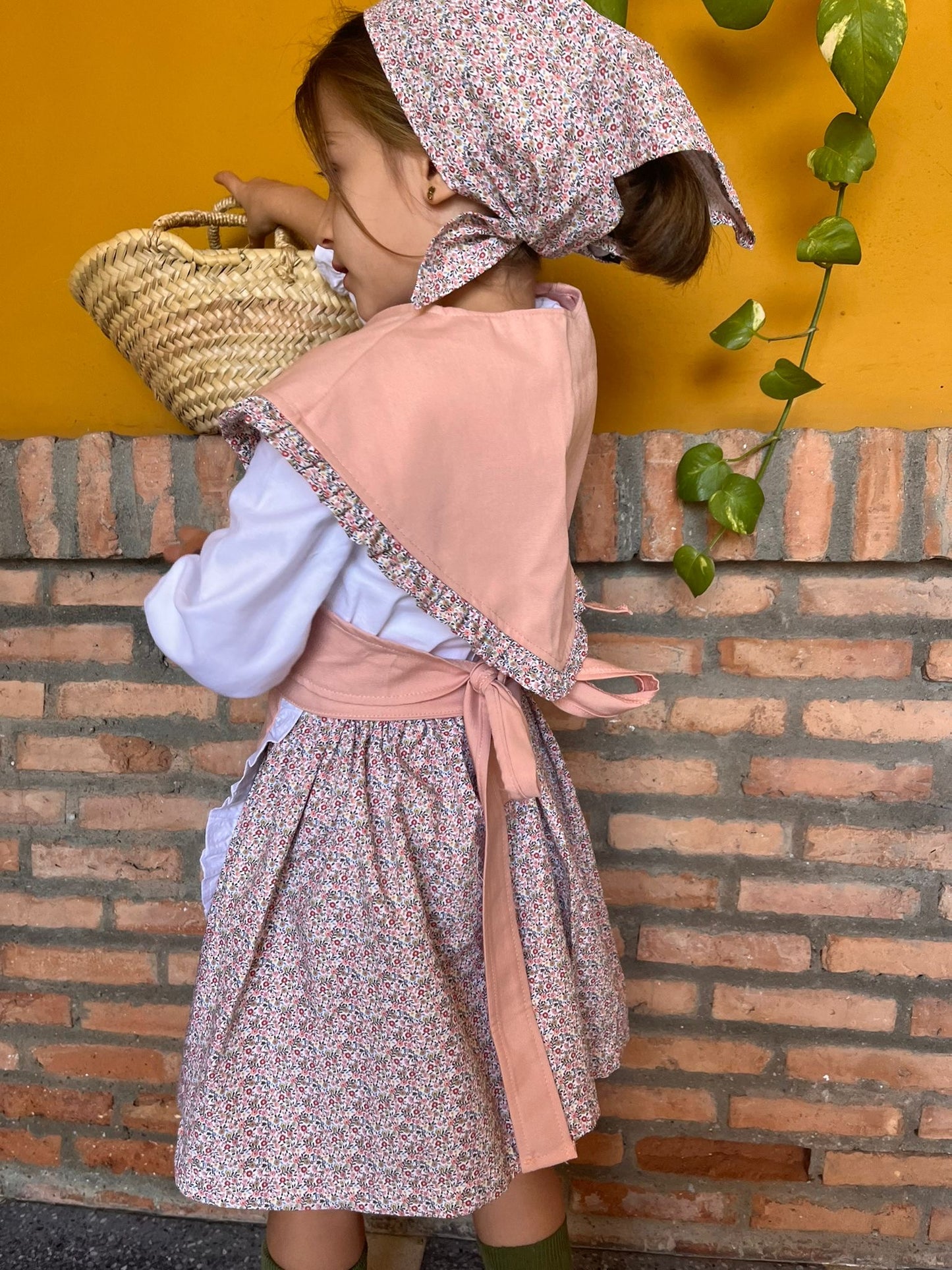 Traje Pastorcita Hidra Rosa