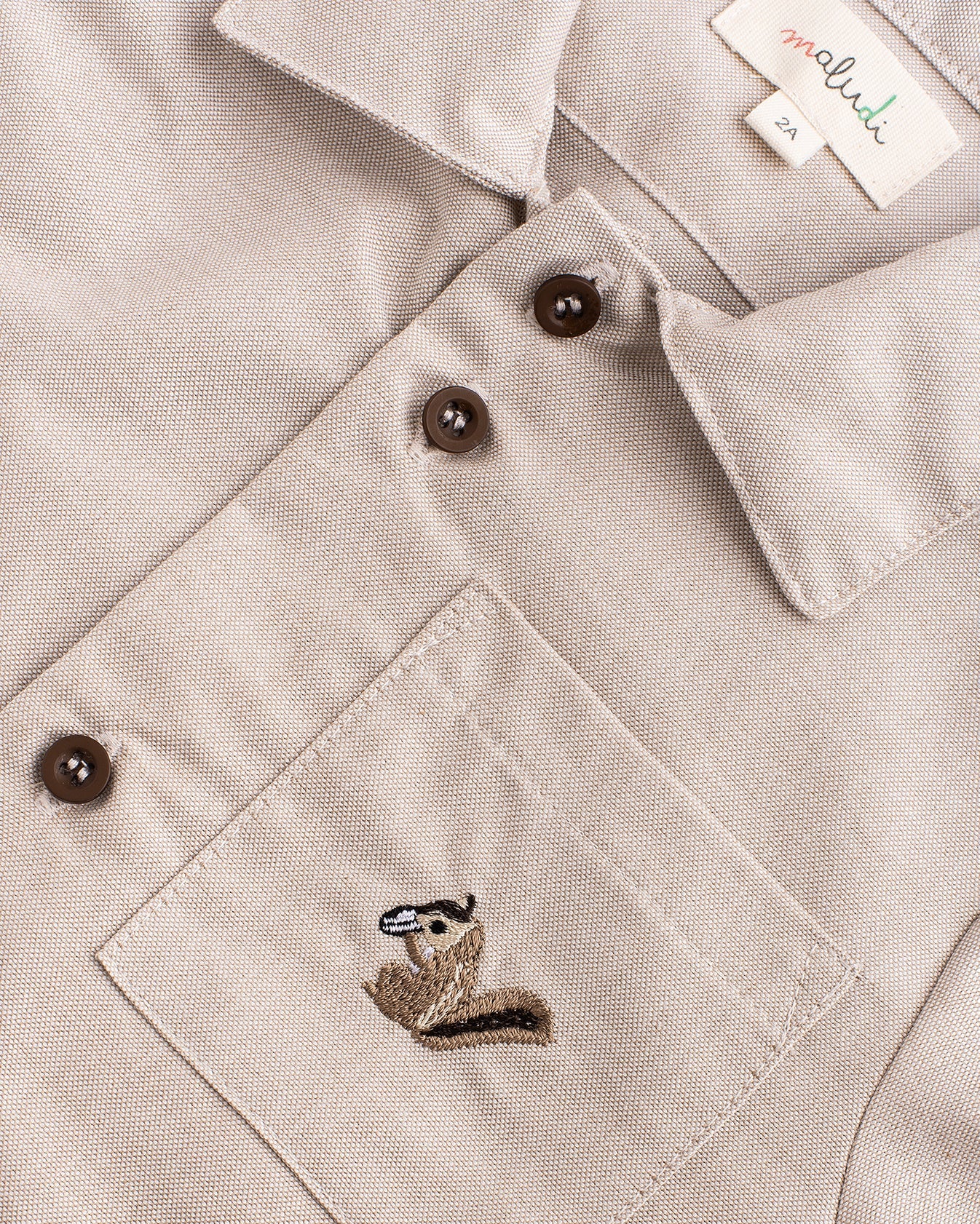 Camisa Esquilo