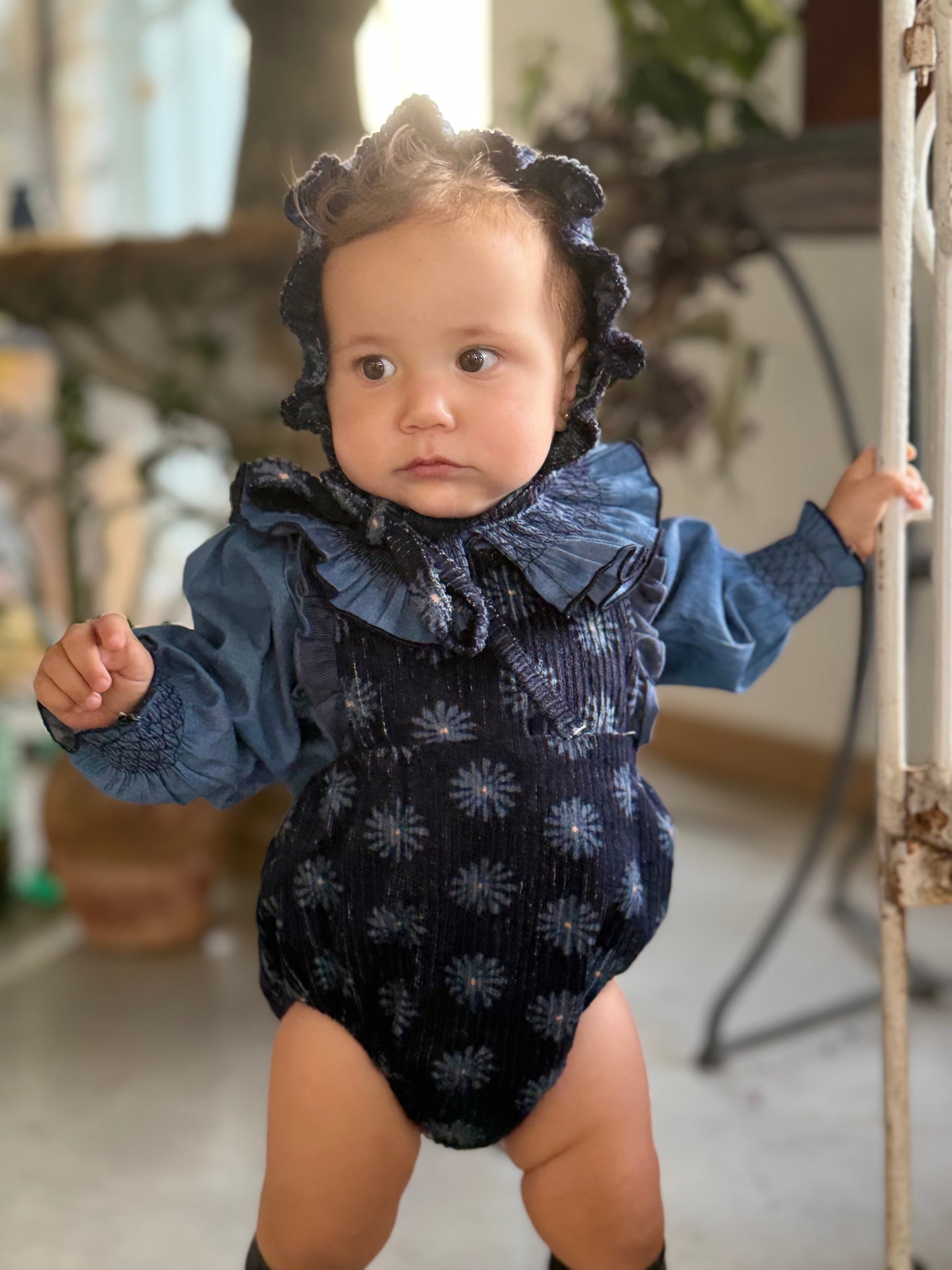 Ranita Volantes Lobelia