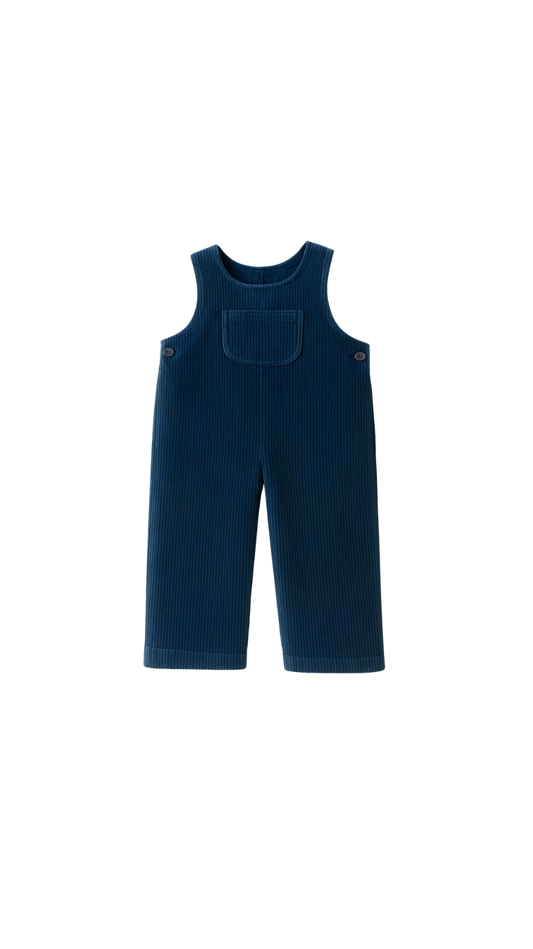 Peto pana gruesa azul