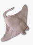 Mantarraya Maya Rosa